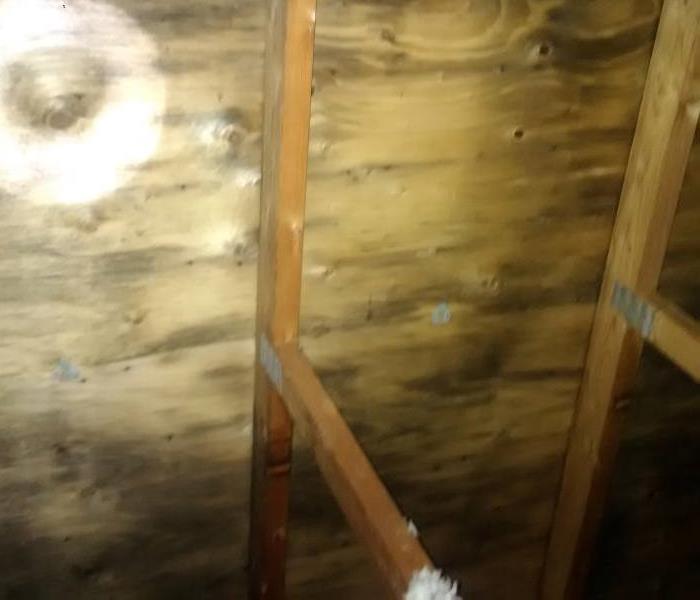 Mould on the joists in the attic